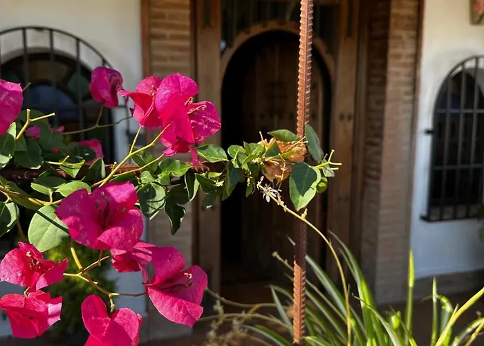 La Chumbera Ferienhaus *