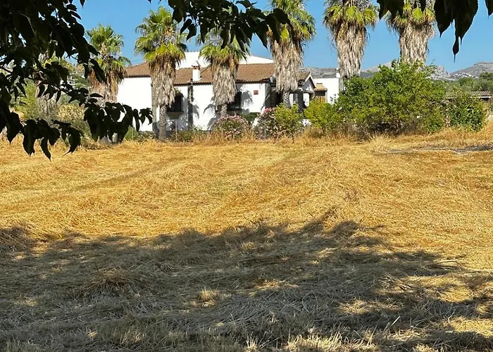 La Chumbera